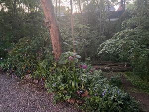 Ruins Lane brook- click for photo gallery